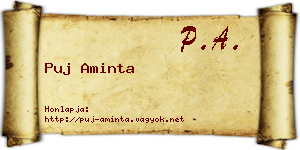 Puj Aminta névjegykártya